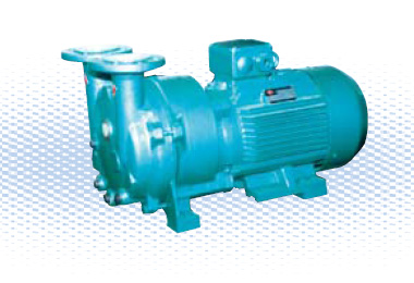  SKA(2BV)系列水环真空泵及压缩机